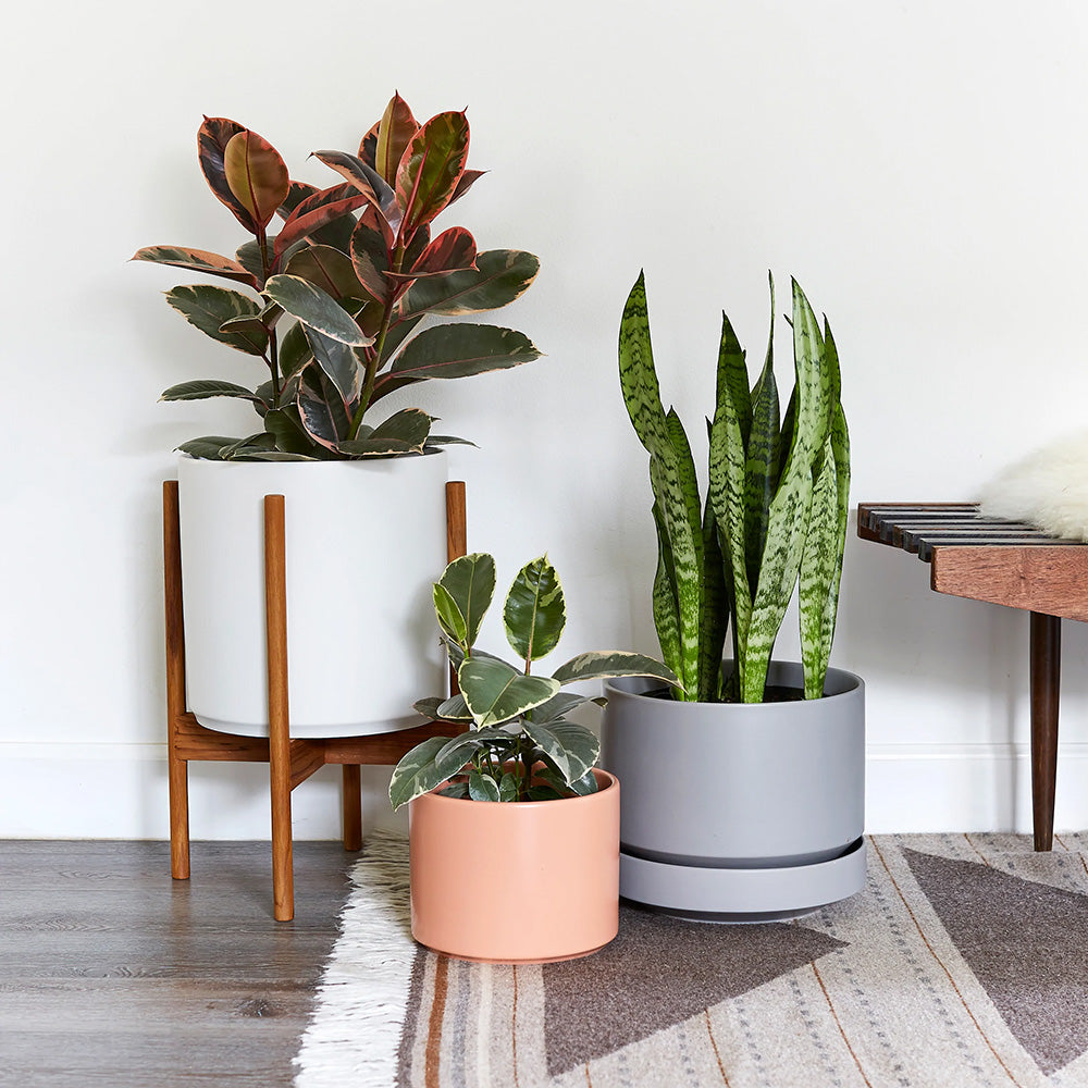 modern planters